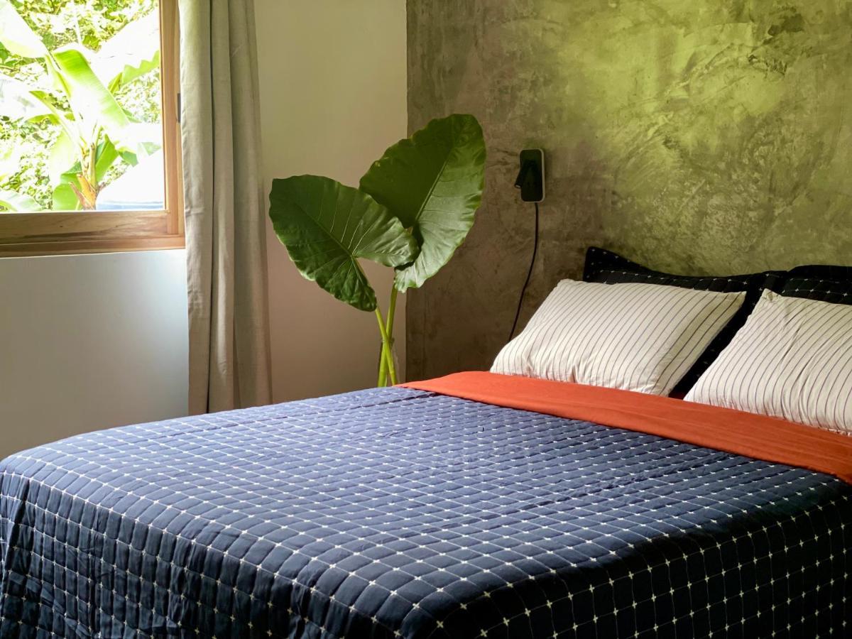 Casa Salvaje Vacation Rentals 博卡斯德尔托罗 外观 照片