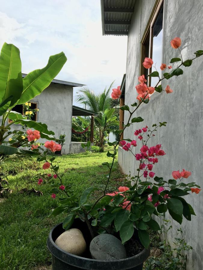 Casa Salvaje Vacation Rentals 博卡斯德尔托罗 外观 照片