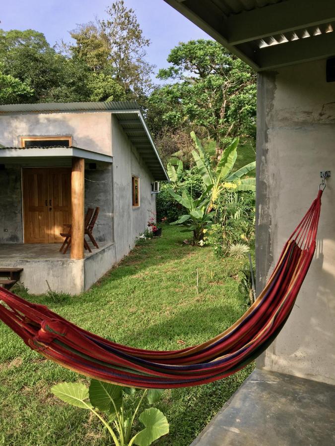Casa Salvaje Vacation Rentals 博卡斯德尔托罗 外观 照片