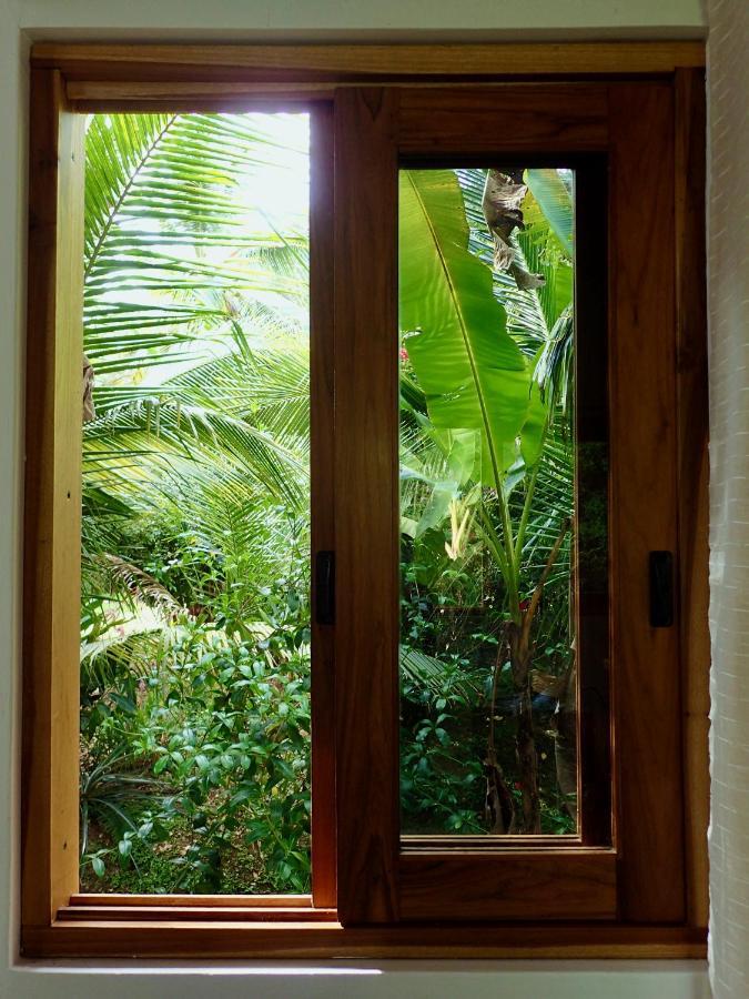 Casa Salvaje Vacation Rentals 博卡斯德尔托罗 外观 照片