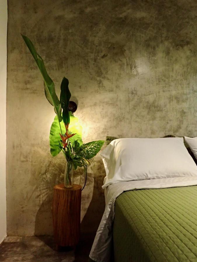 Casa Salvaje Vacation Rentals 博卡斯德尔托罗 外观 照片
