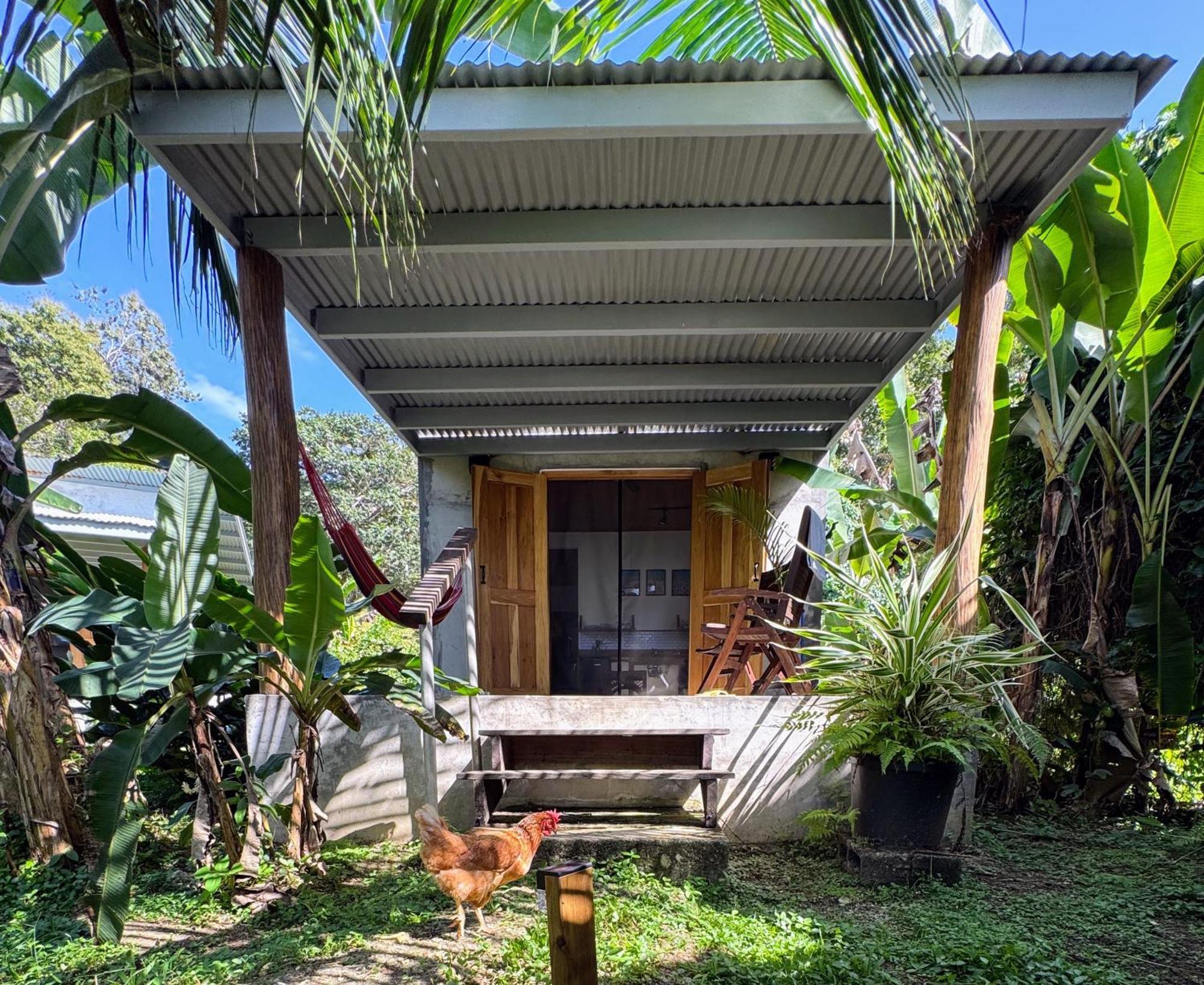 Casa Salvaje Vacation Rentals 博卡斯德尔托罗 外观 照片