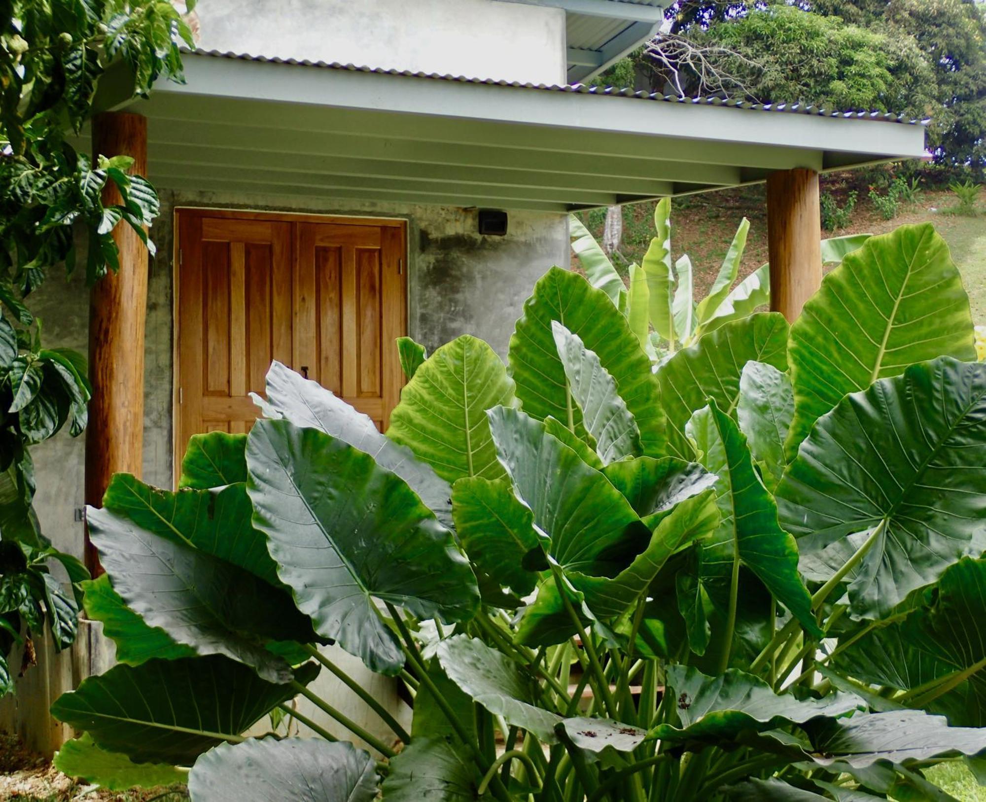Casa Salvaje Vacation Rentals 博卡斯德尔托罗 外观 照片