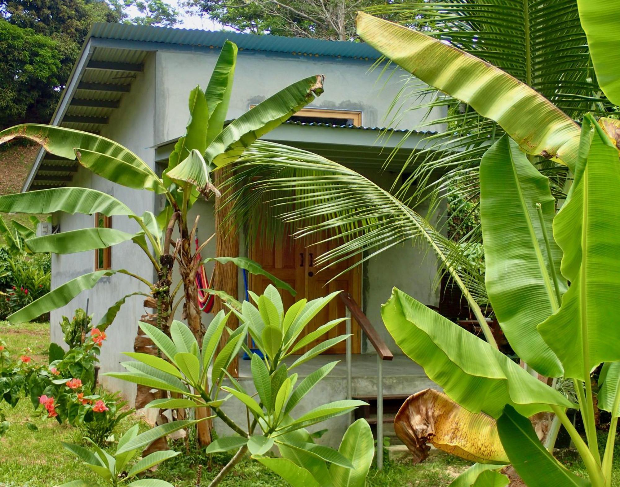 Casa Salvaje Vacation Rentals 博卡斯德尔托罗 外观 照片