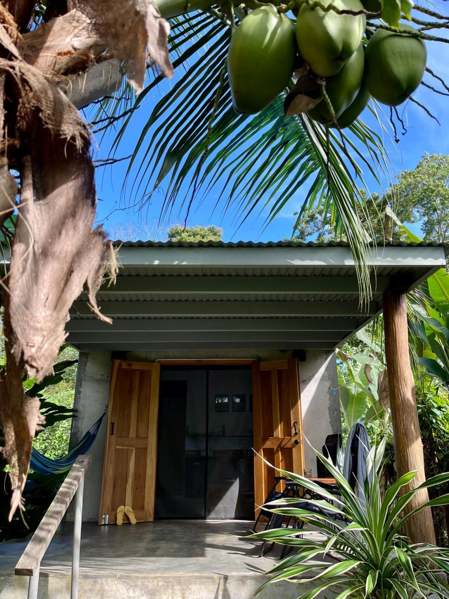 Casa Salvaje Vacation Rentals 博卡斯德尔托罗 外观 照片